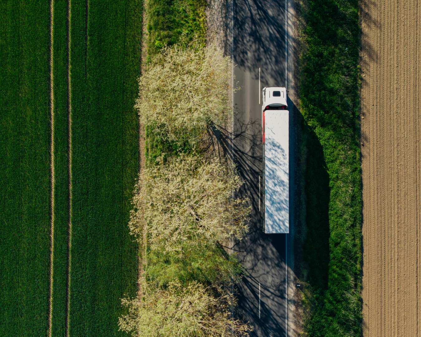 Buy Sod - Elite Sod Sales & Transportation