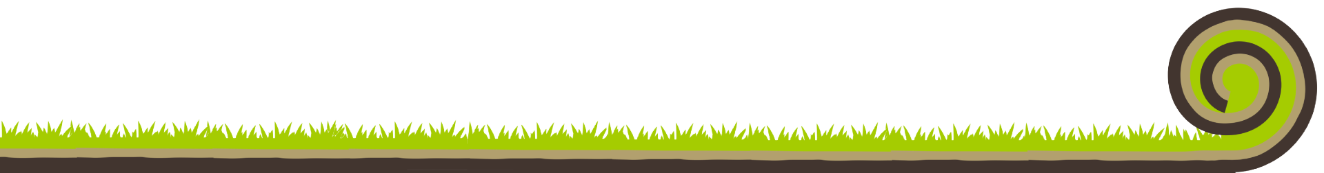 sod-grass - Elite Sod Sales & Transportation