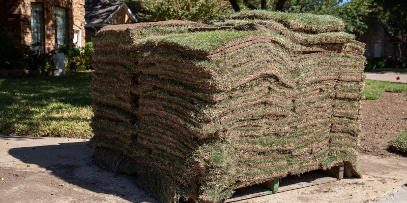 Sod Sales in El Campo, Texas
