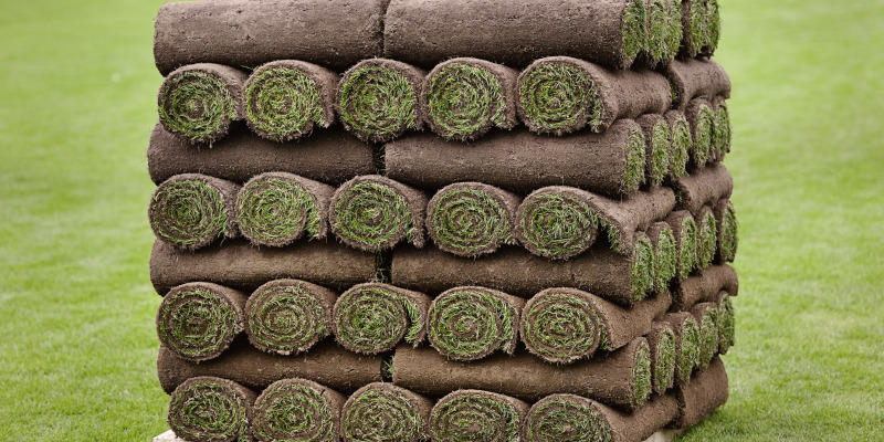 Sod Company in El Campo, Texas