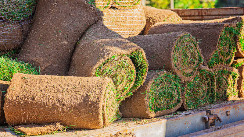 About Elite Sod Sales & Transportation in El Campo, Texas
